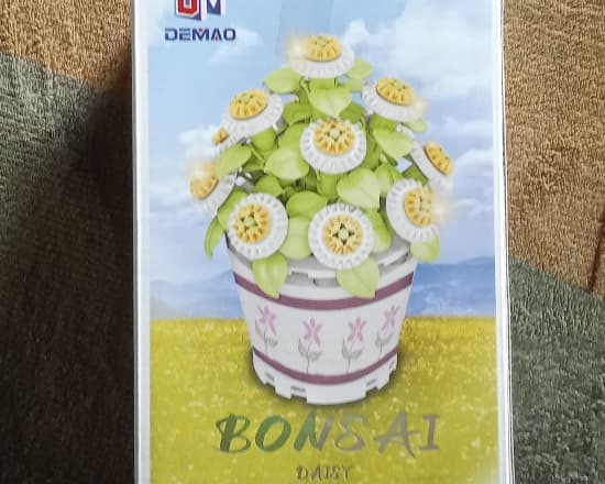 Bonsai mini girasoles