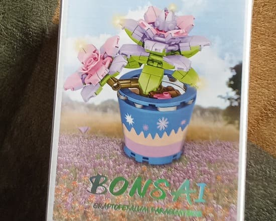 Bonsai morada