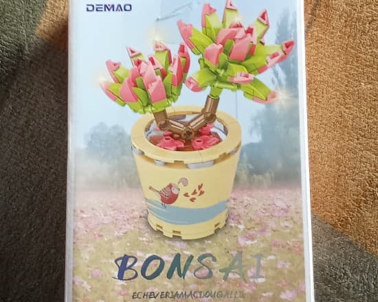 Bonsai ave