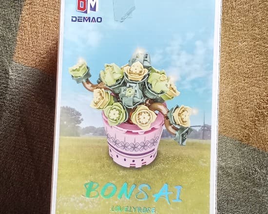 Bonsai